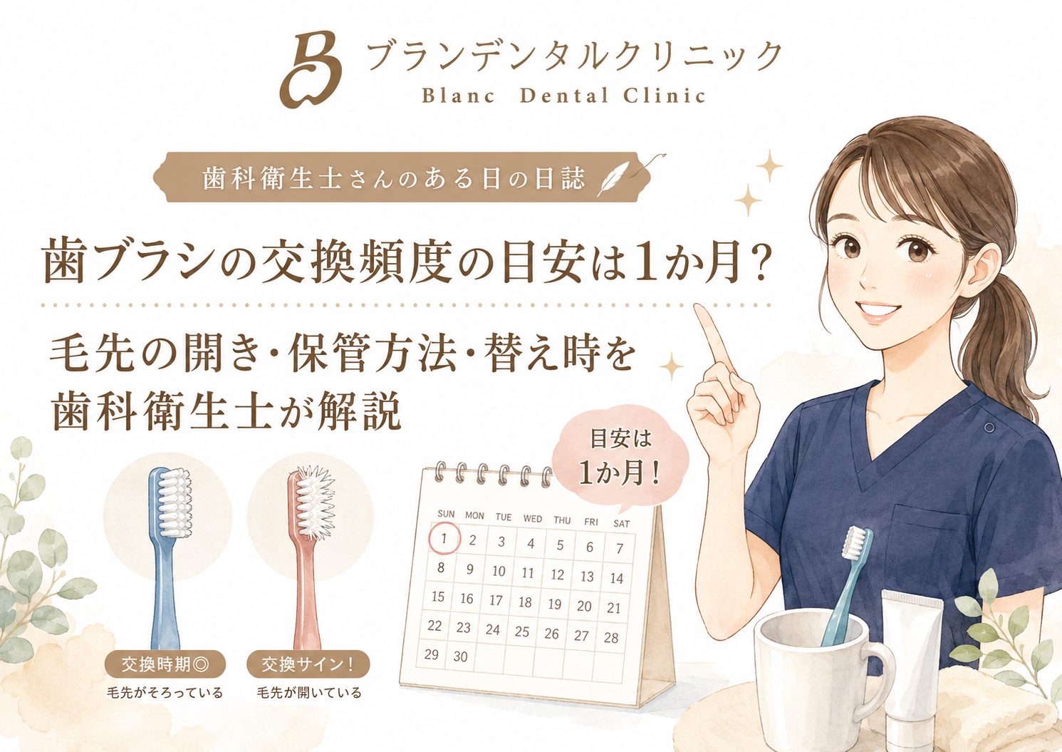 歯ブラシの交換頻度の目安は1か月？毛先の開き・保管方法・替え時を歯科衛生士が解説
