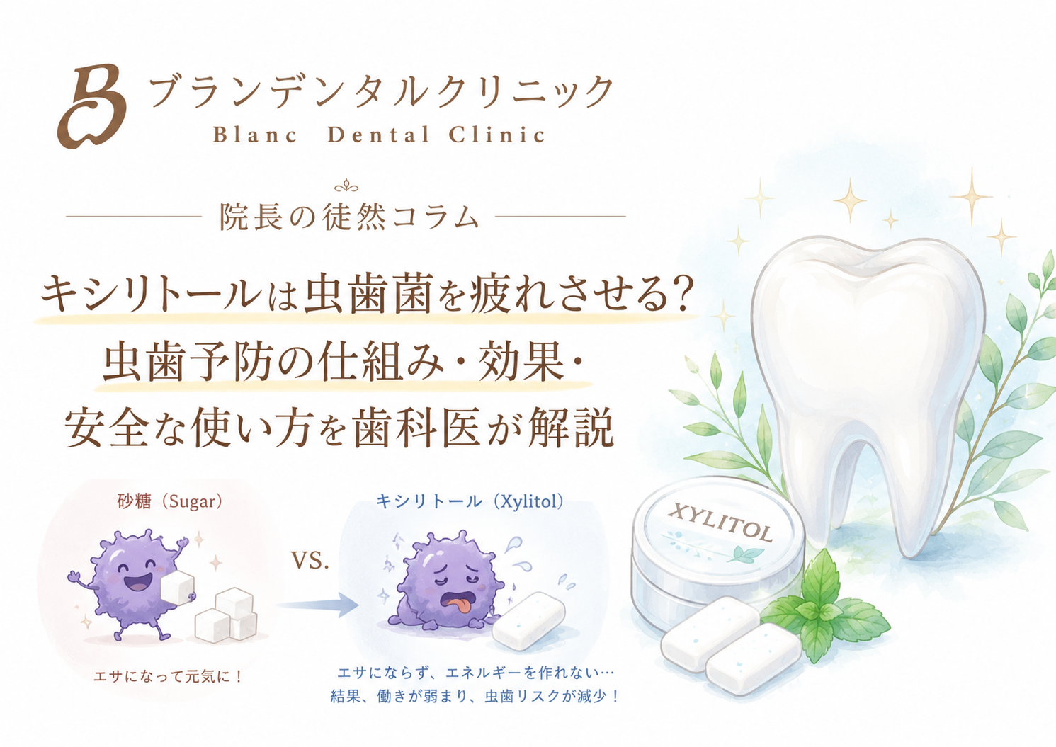 キシリトールは虫歯菌を疲れさせる?虫歯予防の仕組み・効果・安全な使い方を歯科医が解説