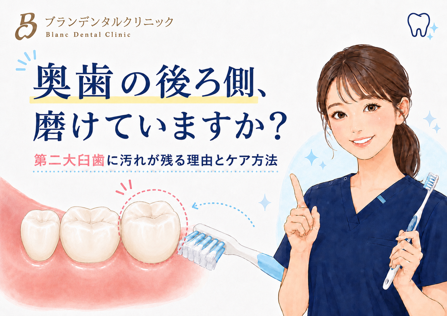 奥歯の後ろ側が磨けない？第二大臼歯に汚れが残る理由とケア方法