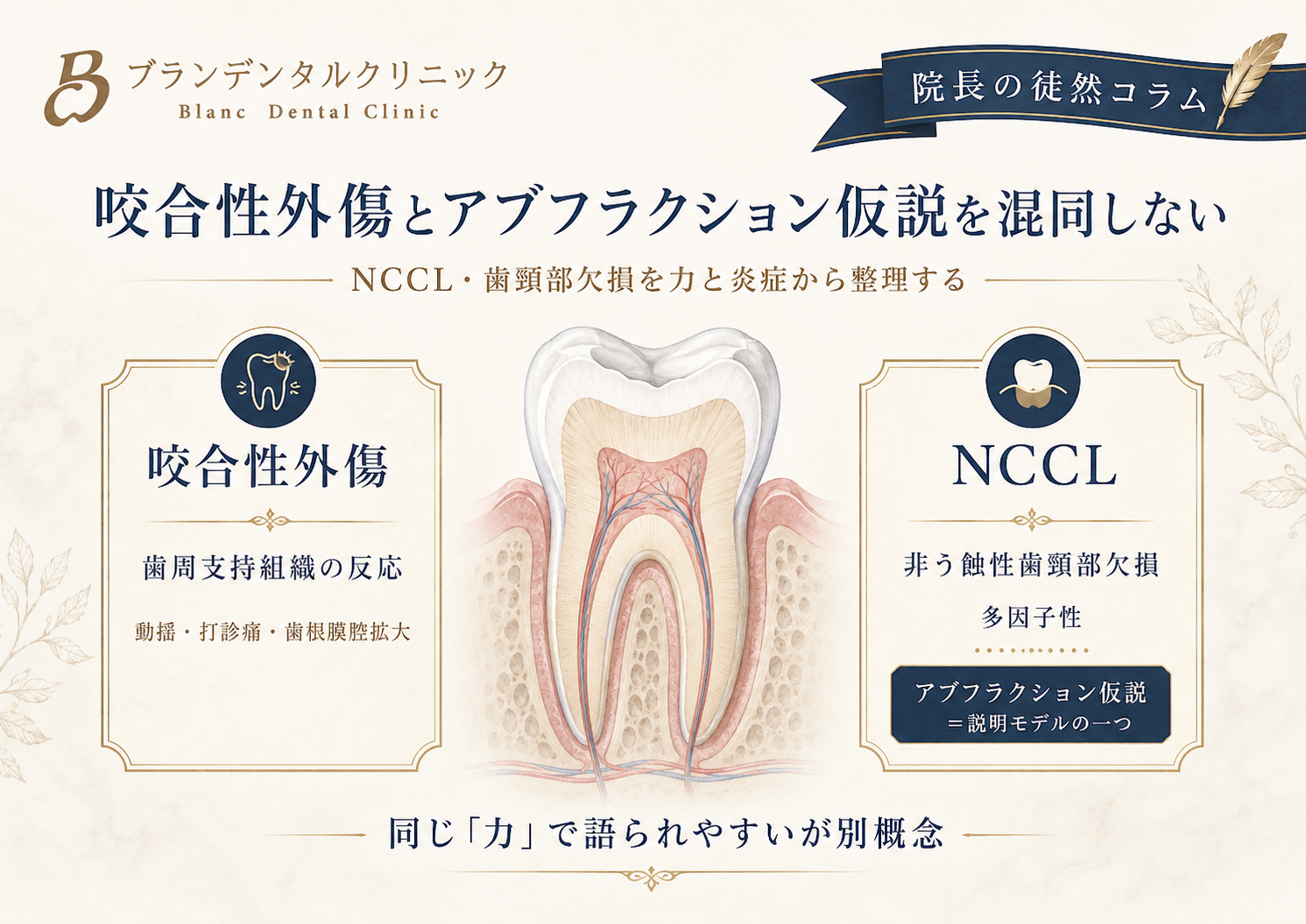 咬合性外傷とアブフラクション仮説を混同しない：NCCL・歯頸部欠損を力と炎症から整理する