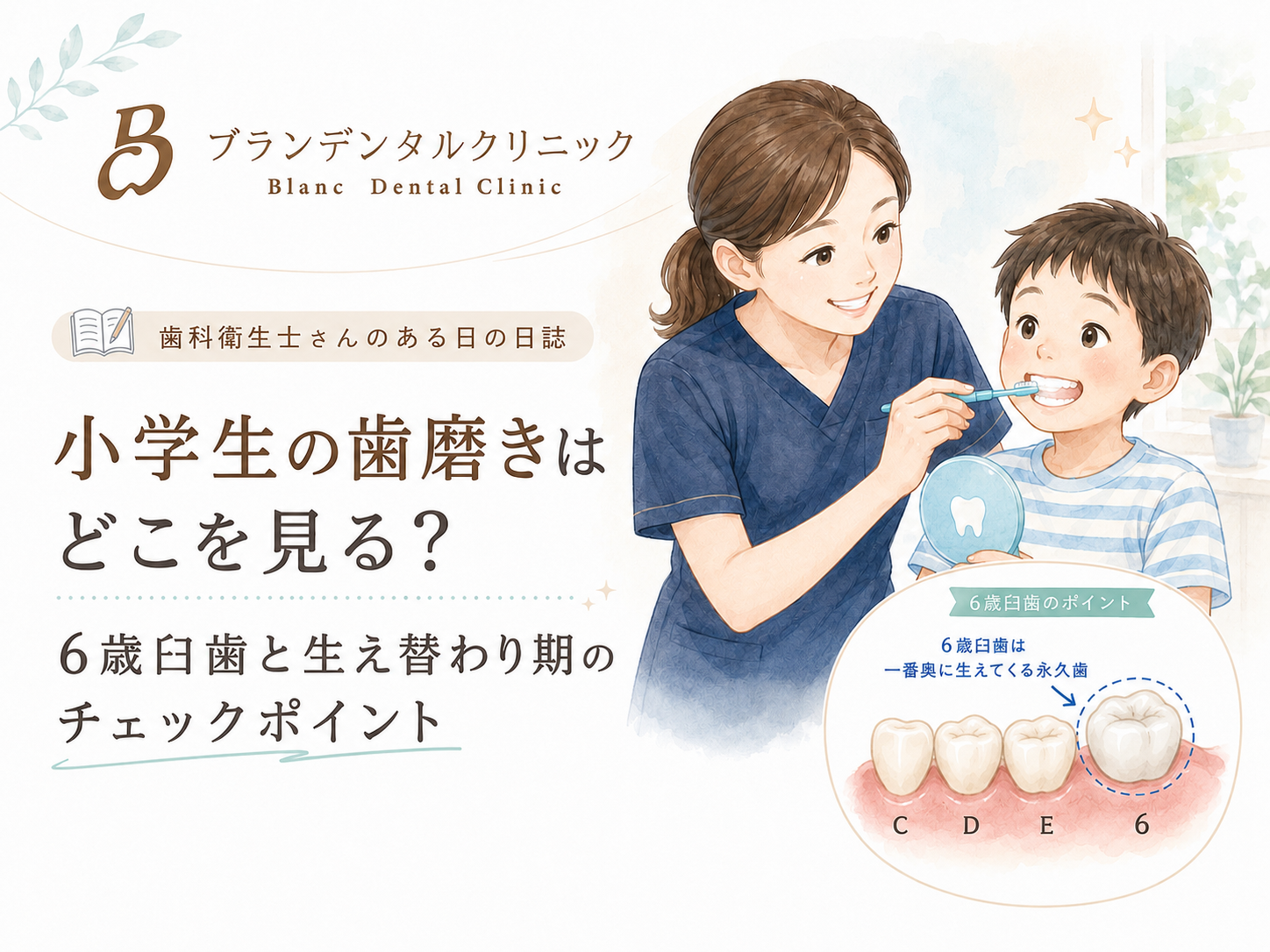 小学生の歯磨きはどこを見る？6歳臼歯と生え替わり期のチェックポイント