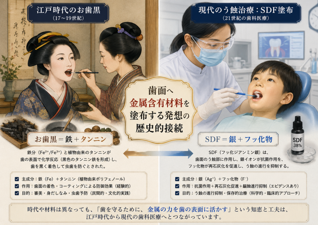文化は口腔微生物の進化を変えたのか/江戸時代の歯石DNA、お歯黒