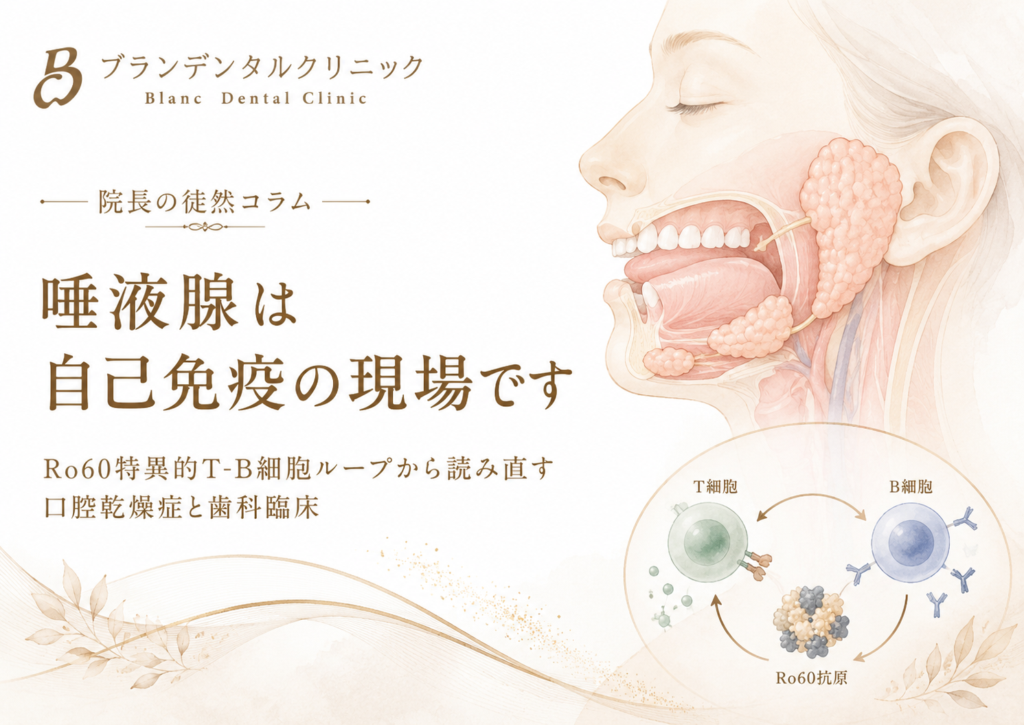 唾液腺は自己免疫の現場です/Ro60特異的T-B細胞ループから読み直す口腔乾燥症と歯科臨床