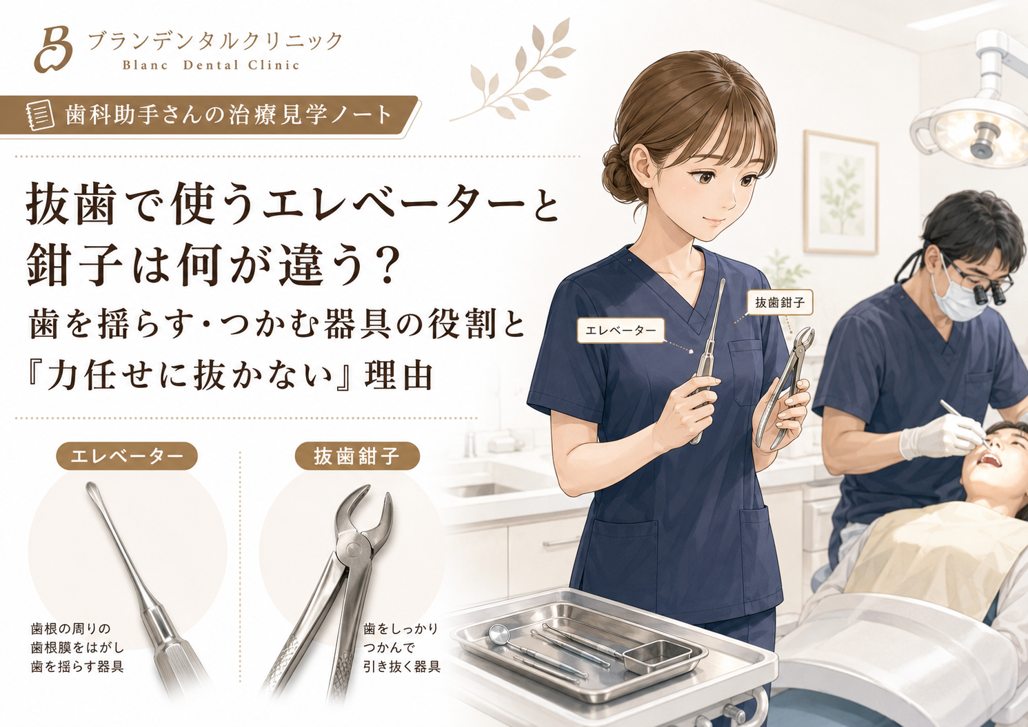 抜歯で使うエレベーターと鉗子は何が違う？歯を揺らす・つかむ器具の役割と「力任せに抜かない」理由