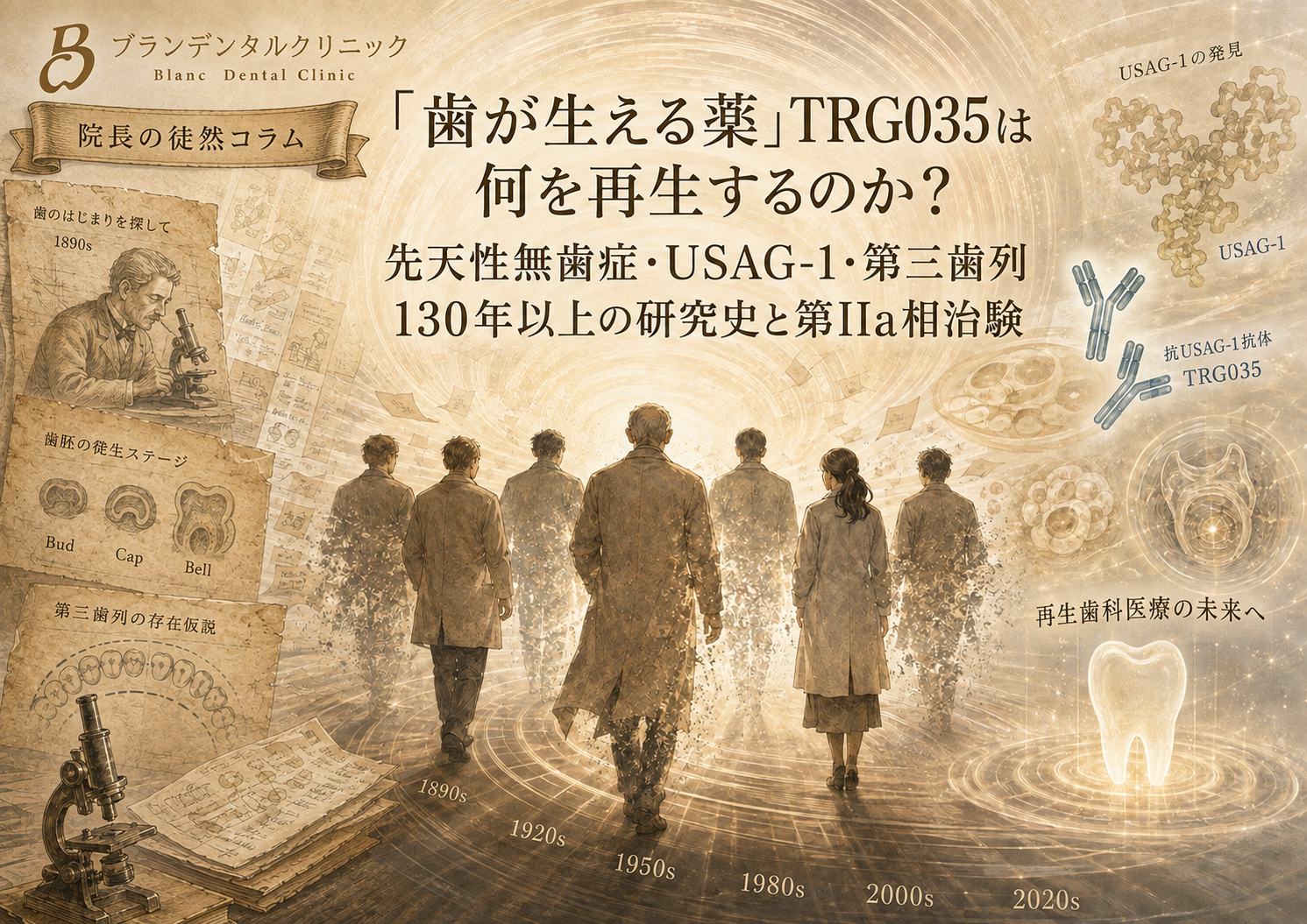 「歯が生える薬」TRG035は何を再生するのか？先天性無歯症・USAG-1・第三歯列130年以上の研究史と第IIa相治験