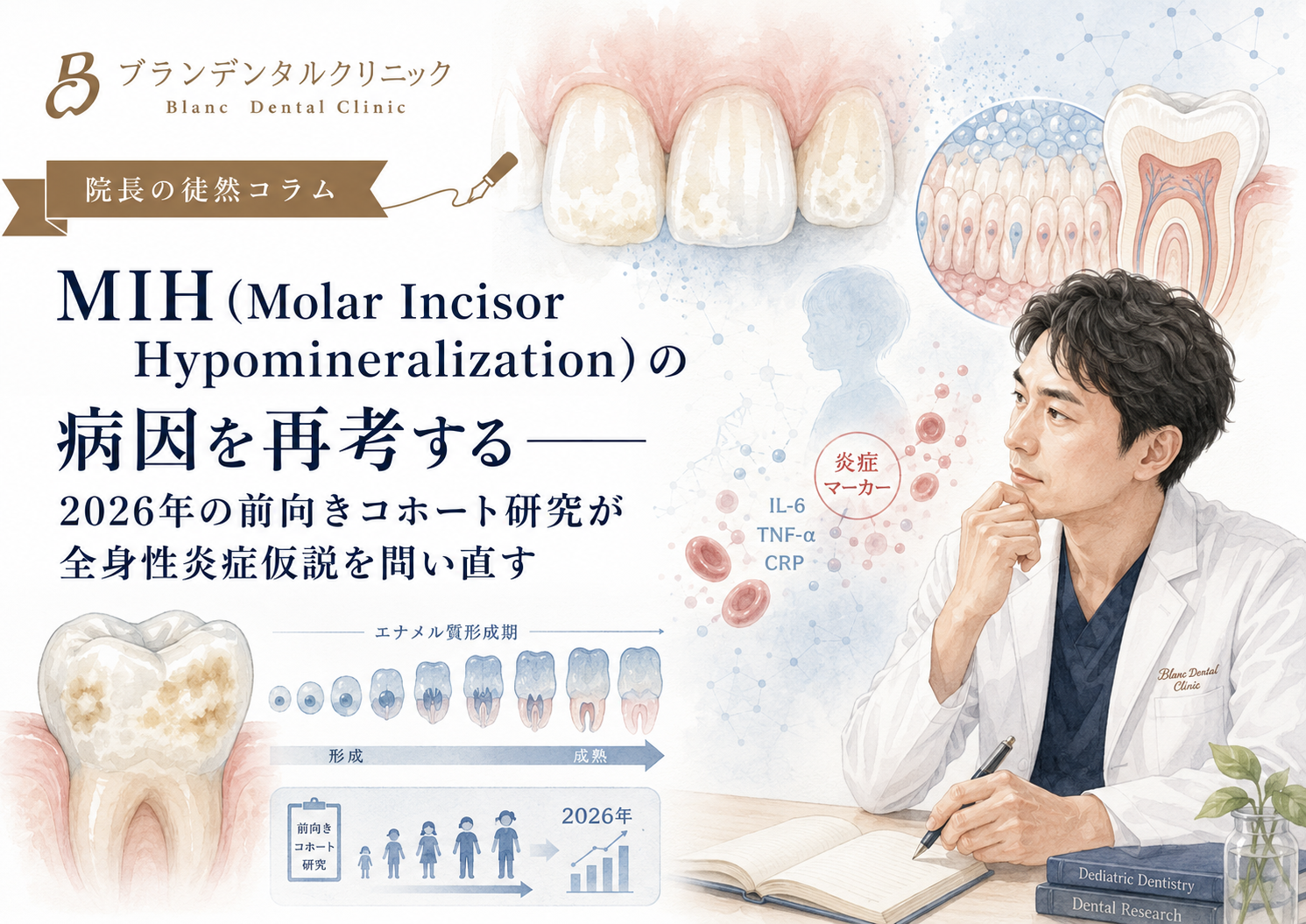MIH(Molar Incisor Hypomineralization)の病因を再考する/2026年の前向きコホート研究が全身性炎症仮説を問い直す