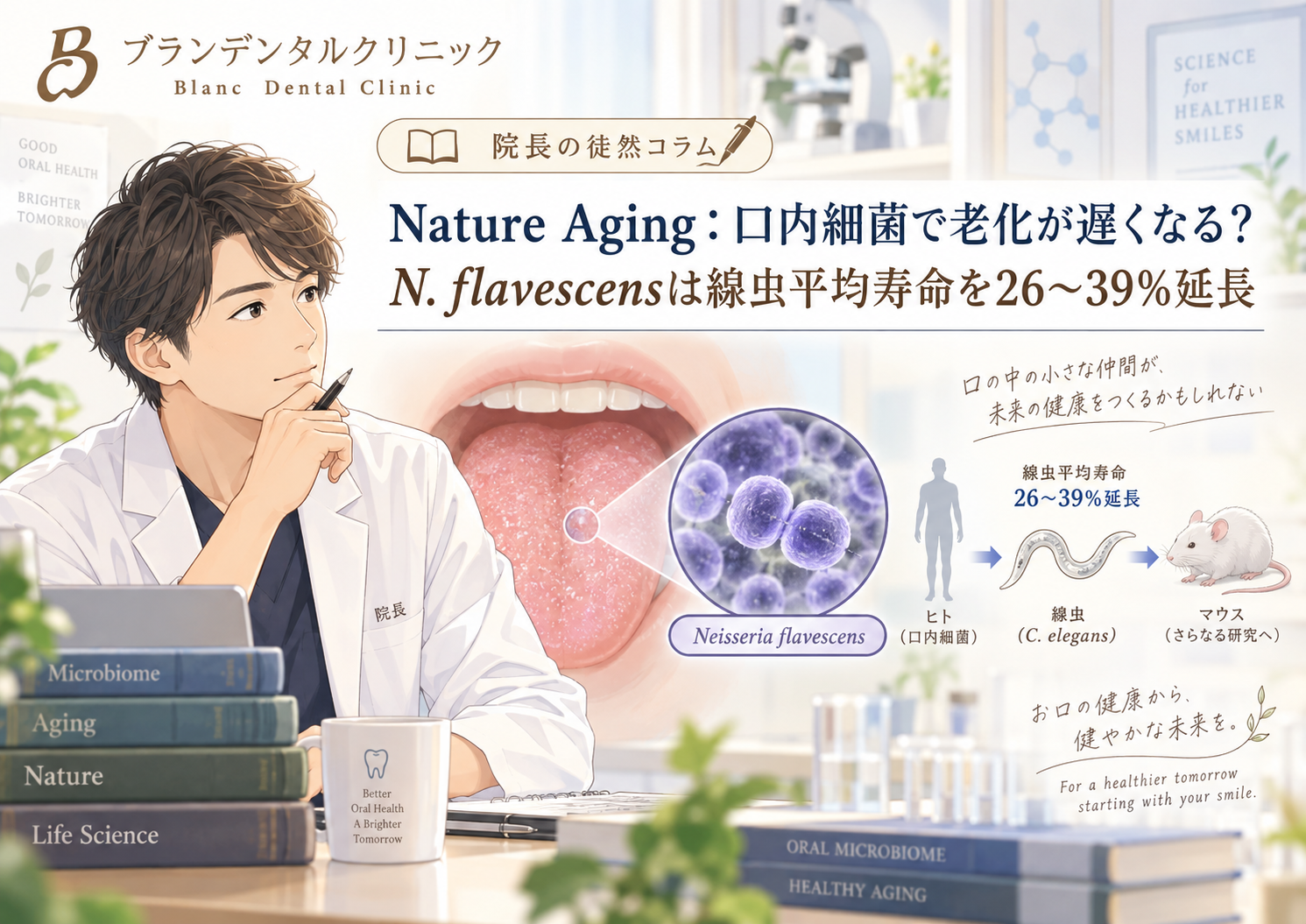 Nature Aging：口内細菌で老化が遅くなる？N. flavescensは線虫平均寿命を26〜39％延長