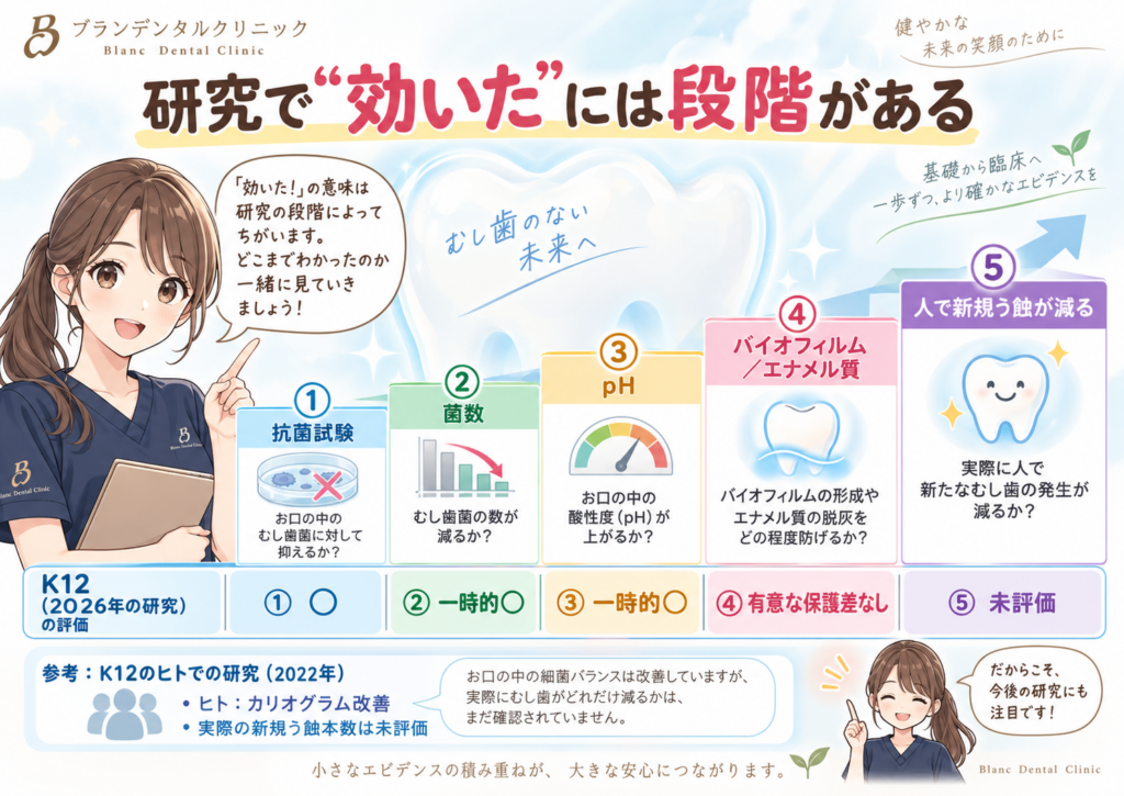 善玉菌”K12は虫歯を防げる？pHは一時改善、12日後のエナメル質硬さに