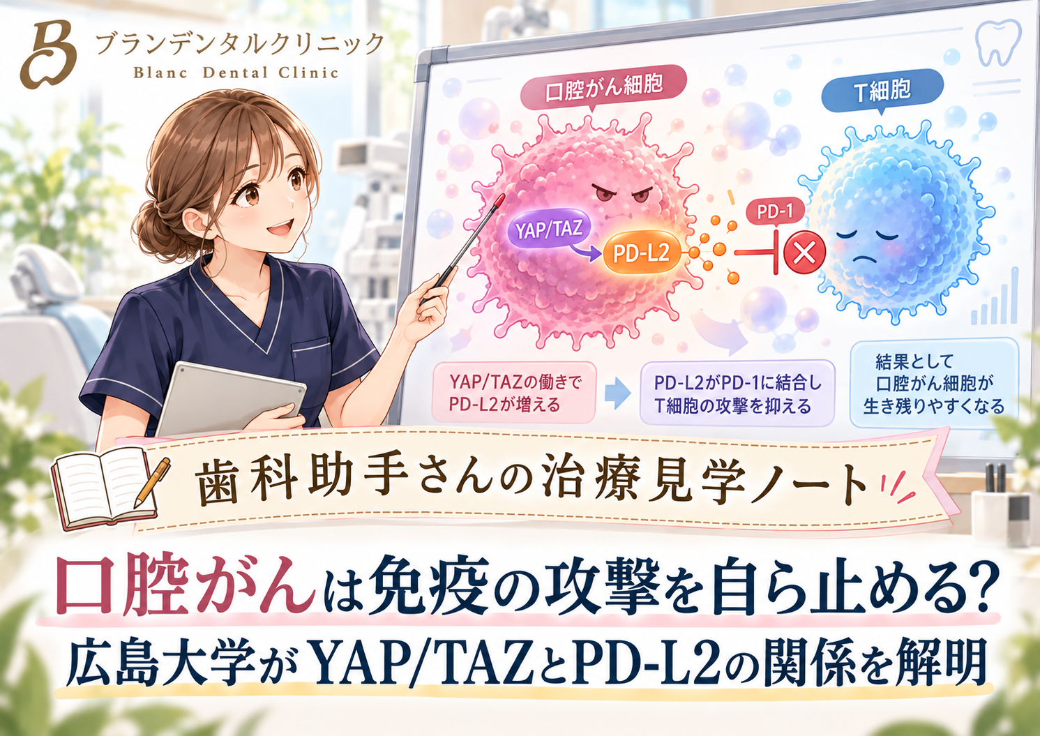 口腔がんは免疫の攻撃を自ら止める？広島大学がYAP/TAZとPD-L2の関係を解明